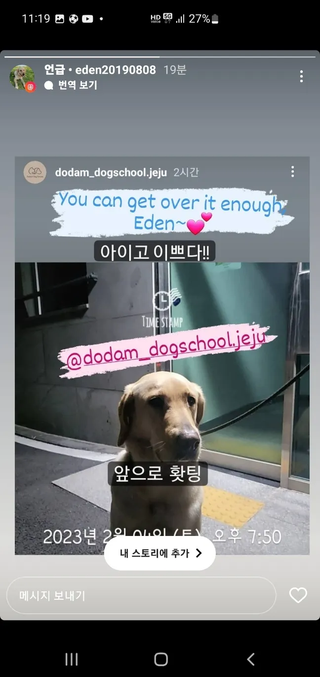 이미지 3