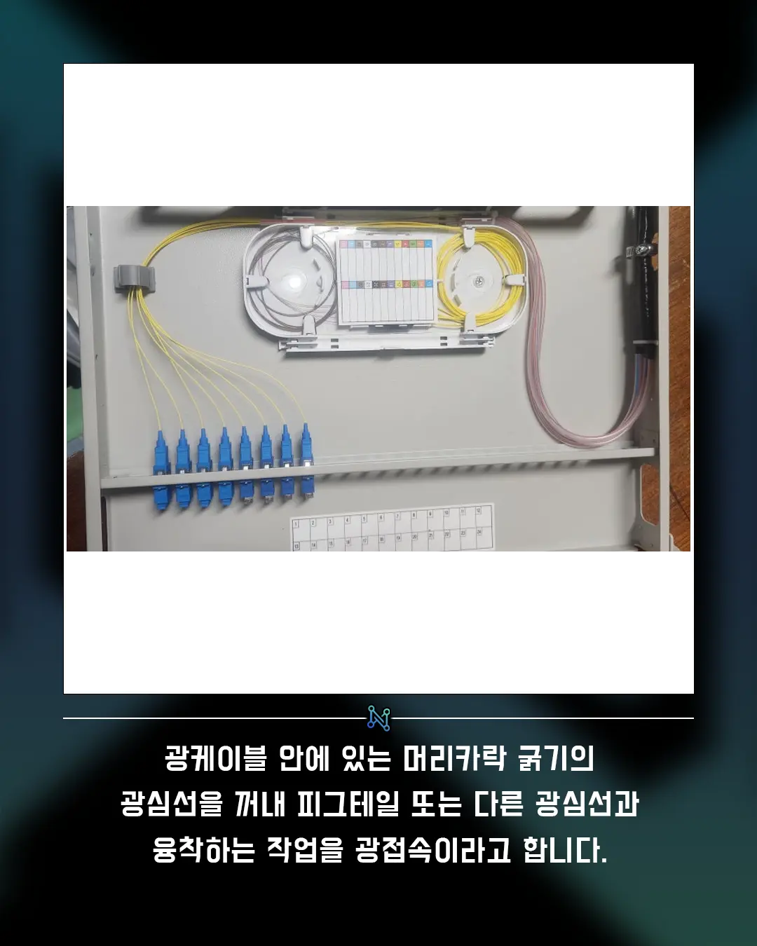 이미지 6