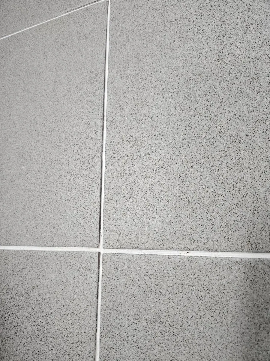 이미지 4
