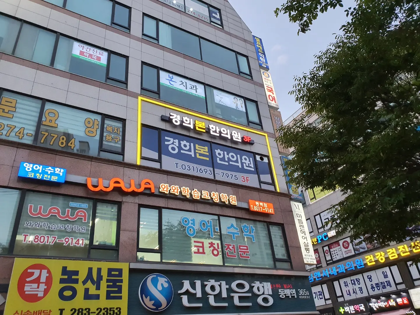 이미지 10