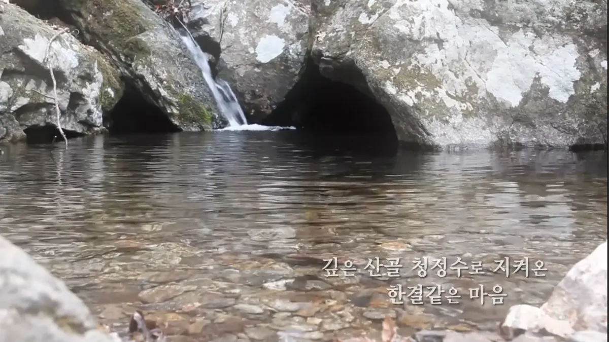 이미지 5
