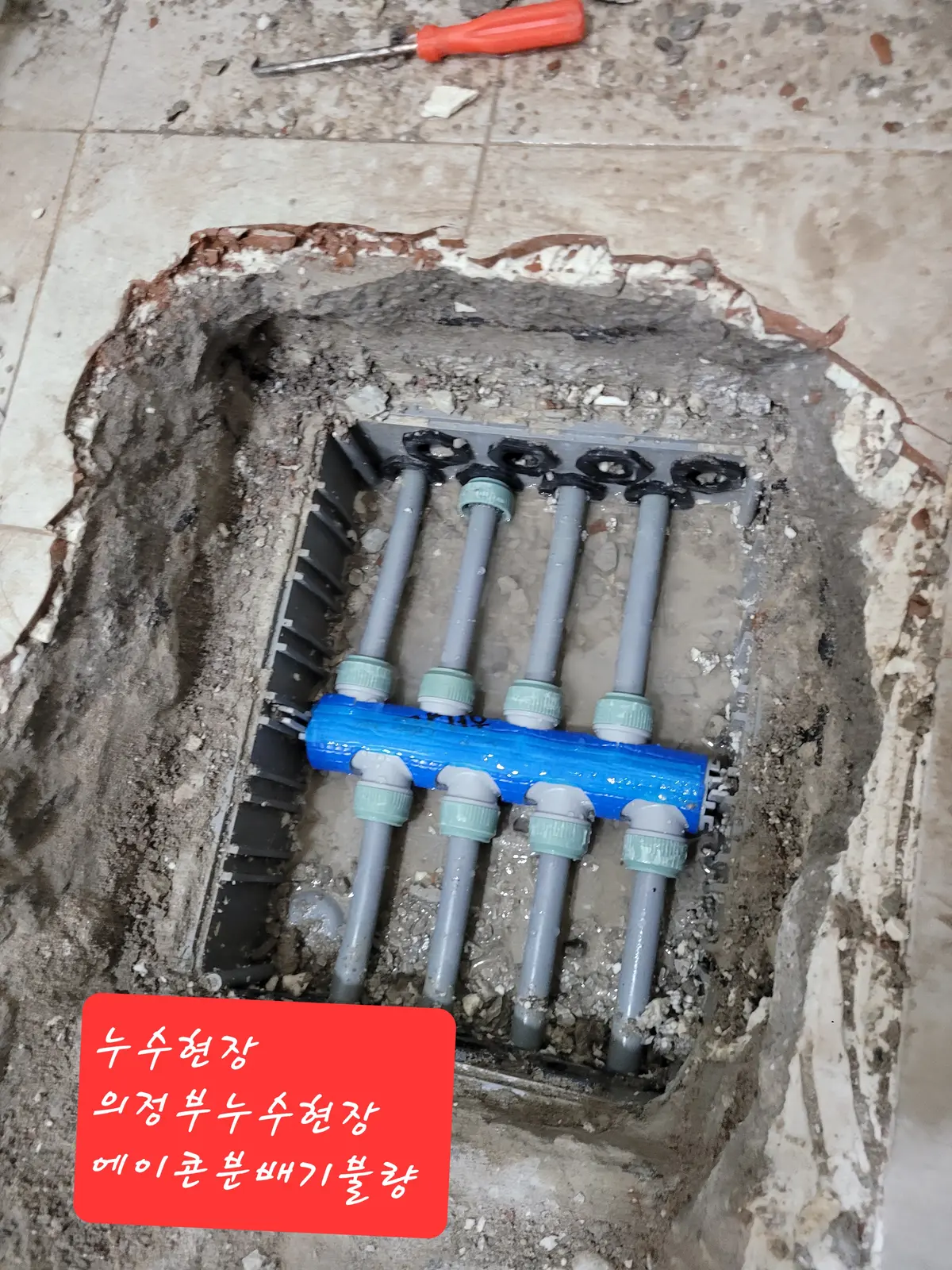 포트폴리오 대표 이미지