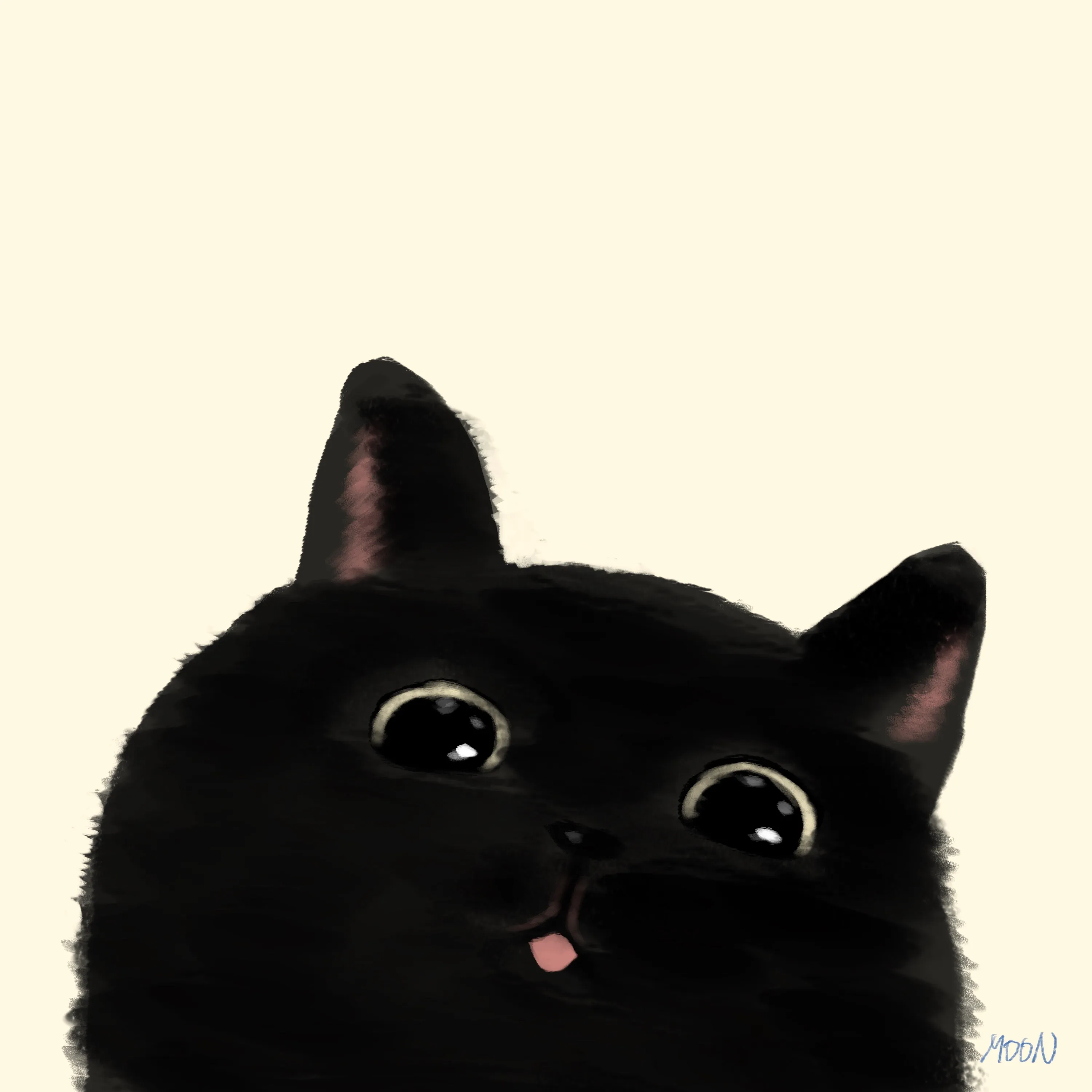 이미지 16