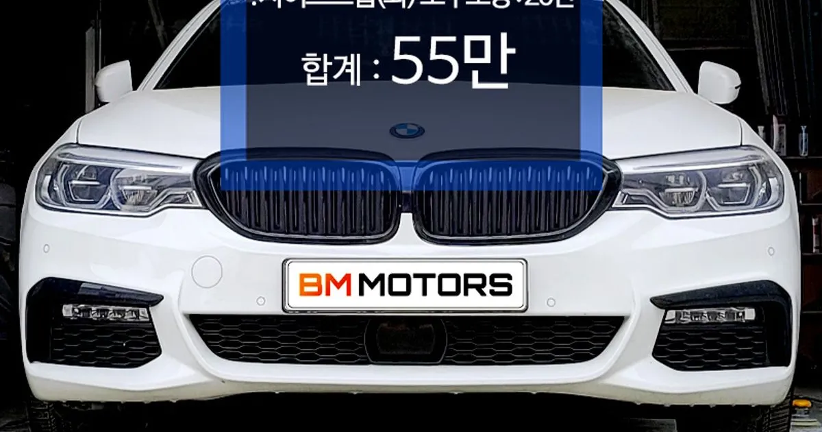 520d (2판) : 앞도어 35만(좌), 스탭20만 / BM모터스 - 숨고, 숨은고수 520d (2판) : 앞도어 35만(좌), 스탭20만