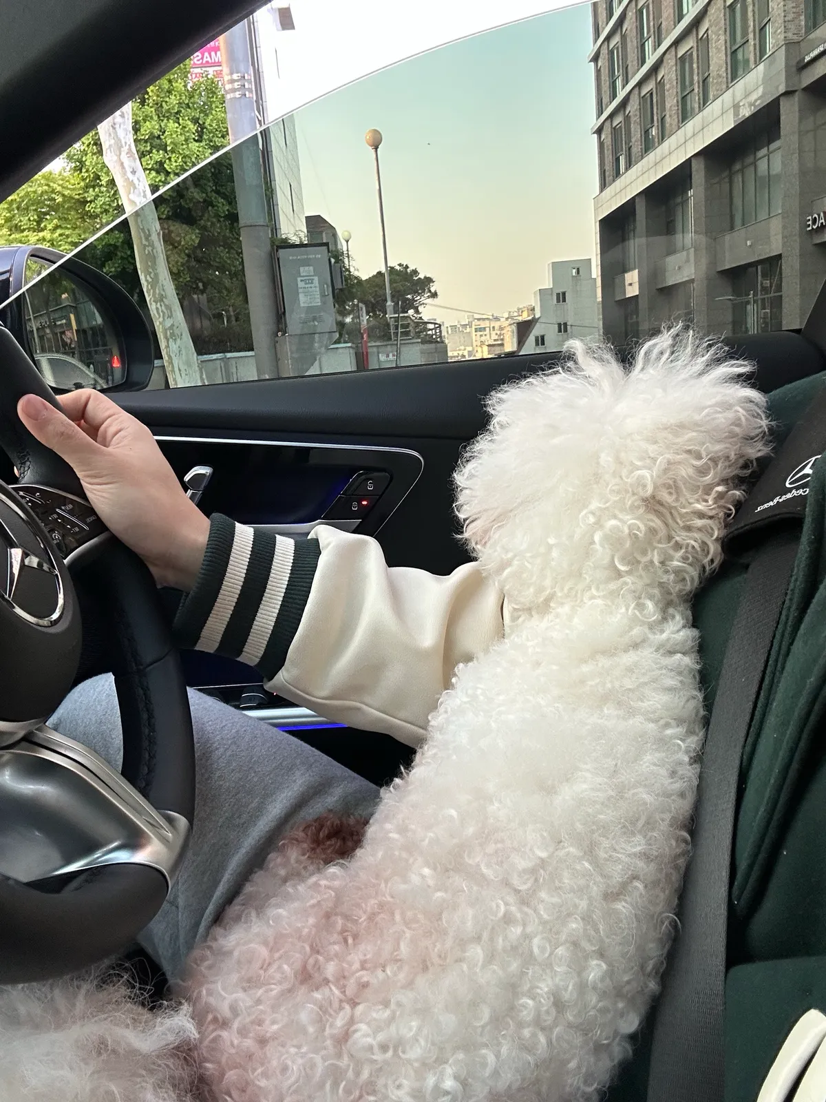 이미지 6
