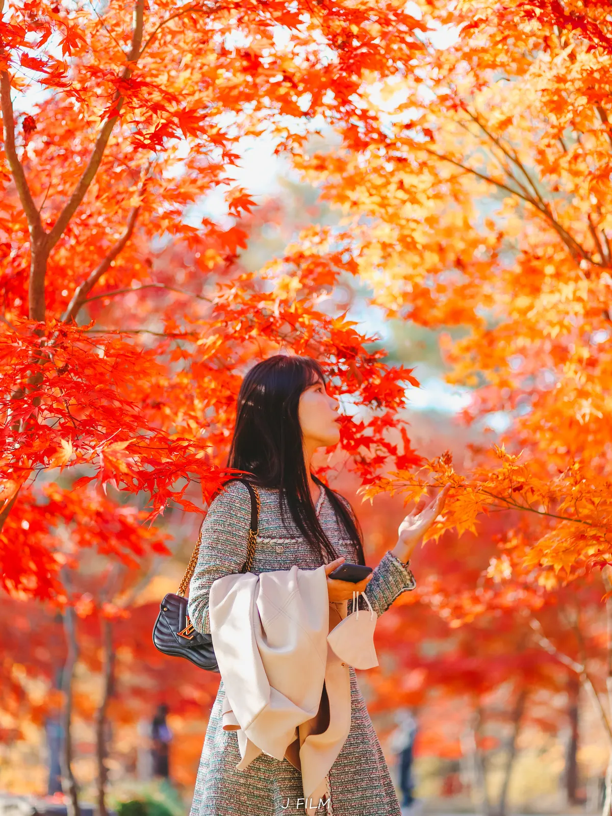 이미지 6
