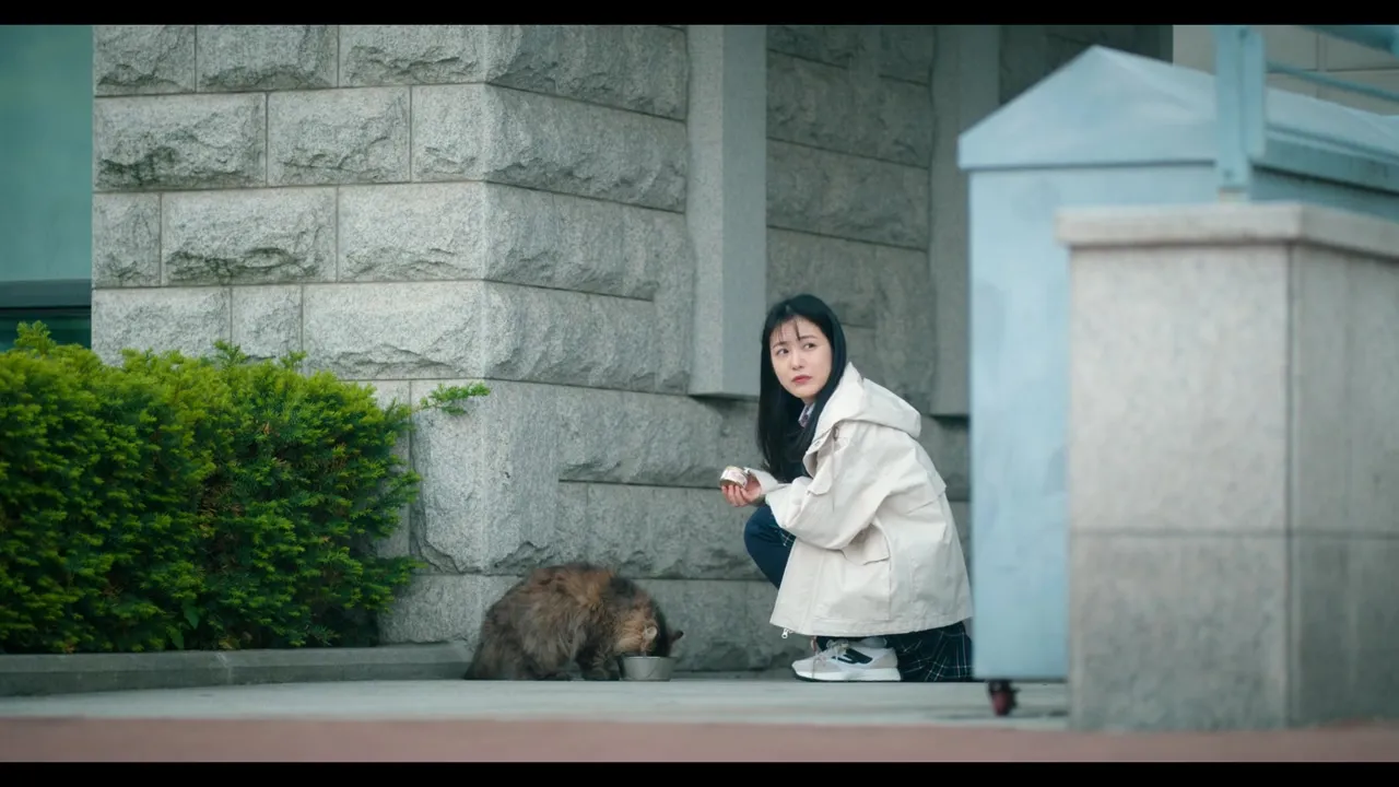 이미지 4