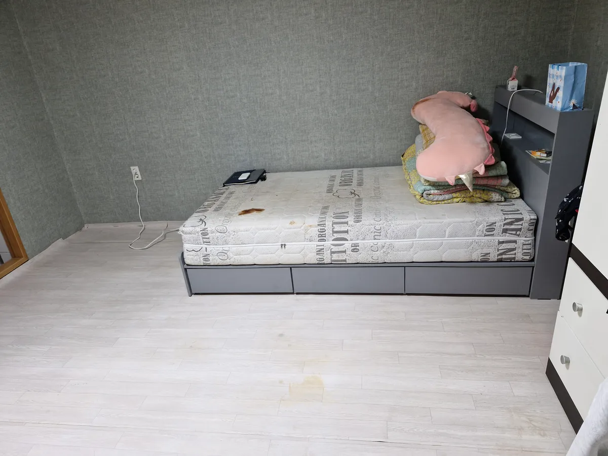 이미지 8