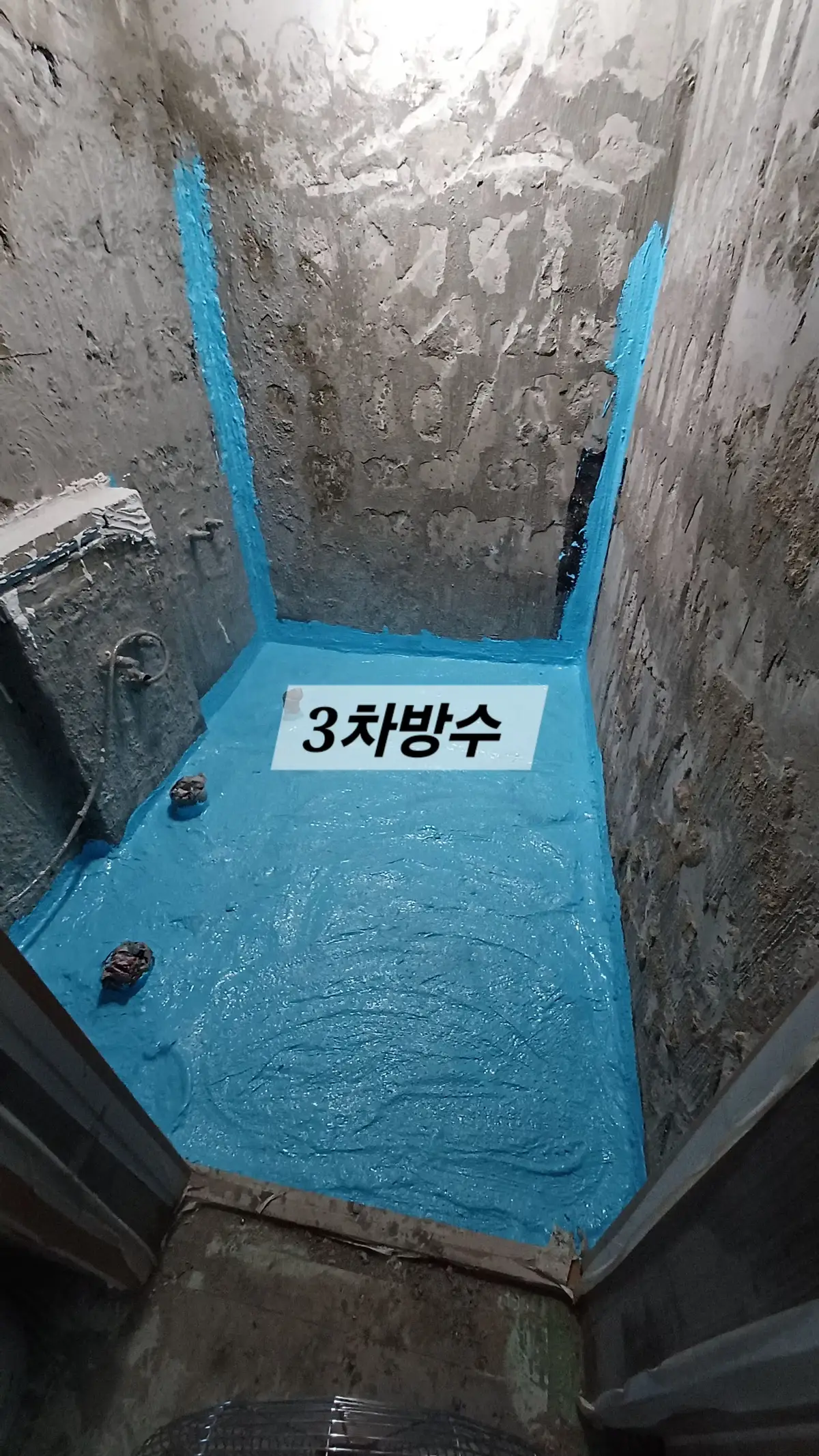 이미지 8