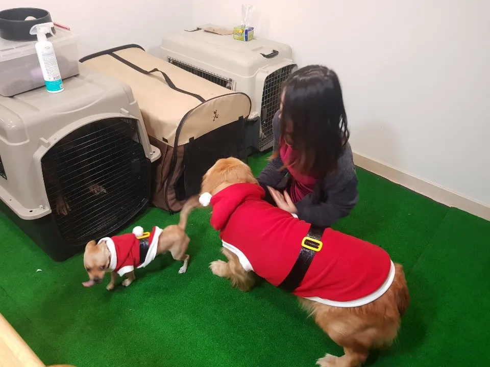 이미지 7