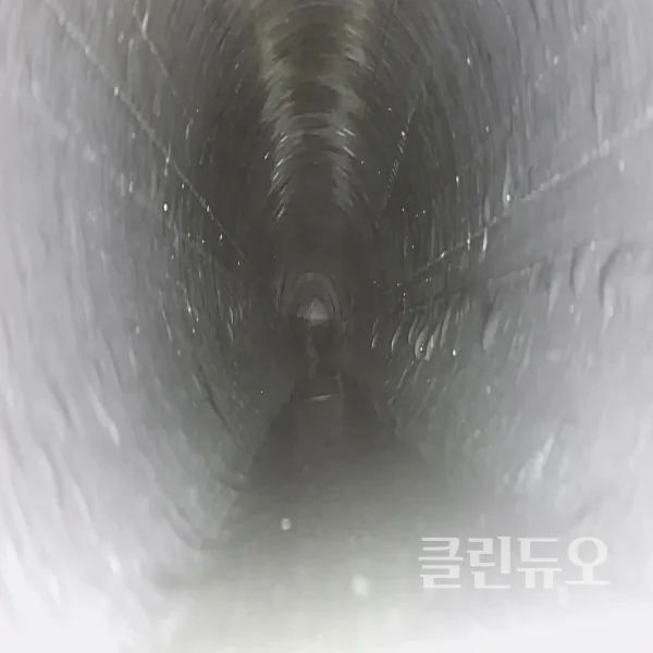 이미지 14