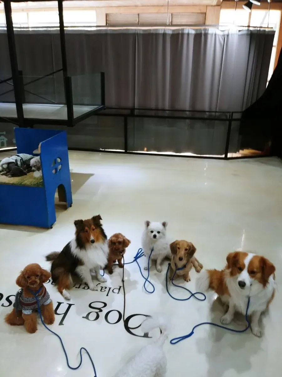 이미지 9