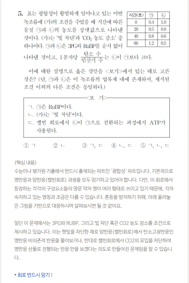 이미지 7