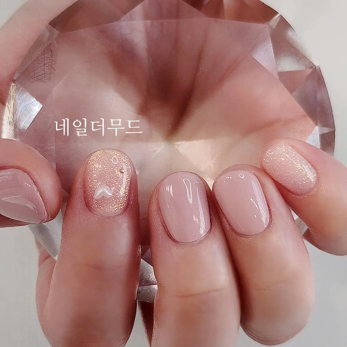 이미지 4