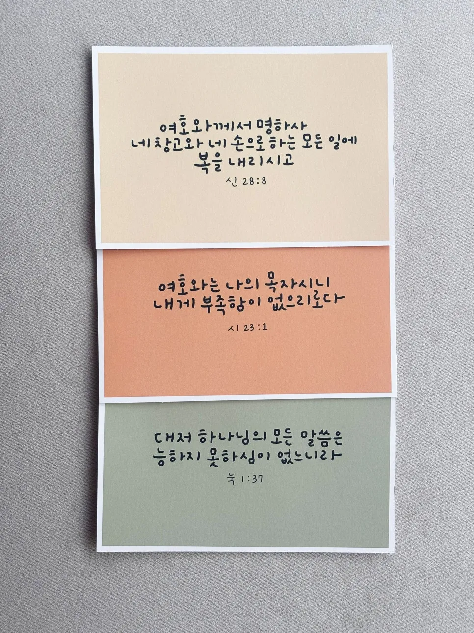 이미지 4