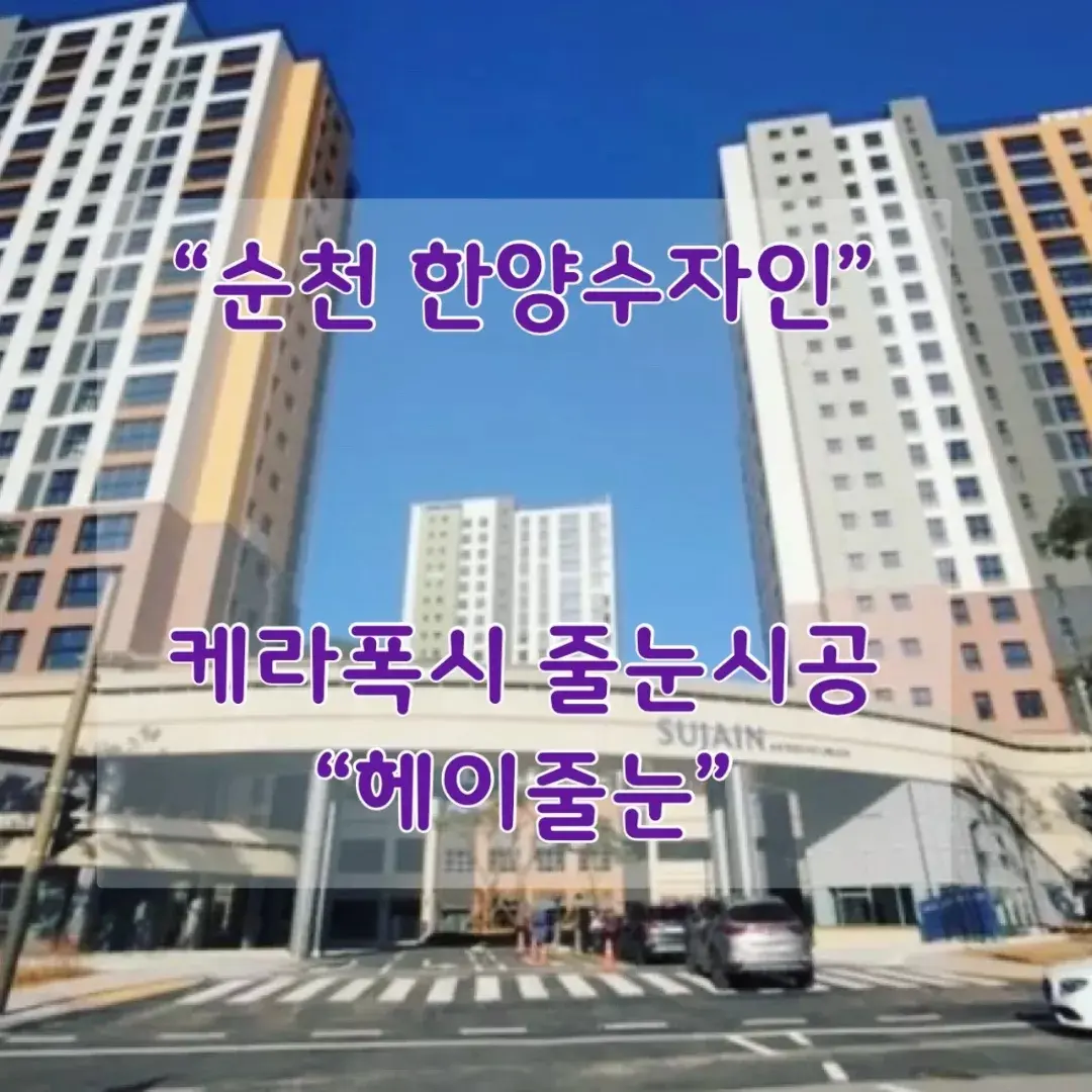 포트폴리오 이미지