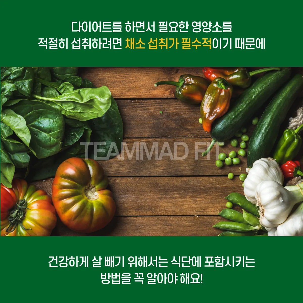 이미지 10
