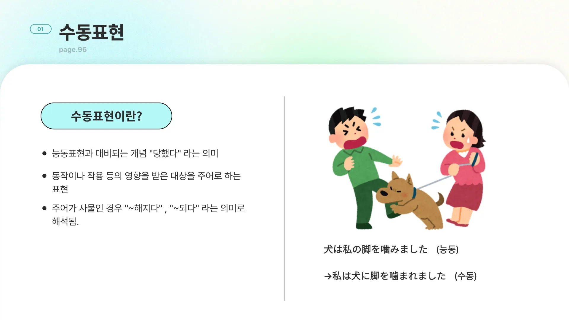 이미지 5