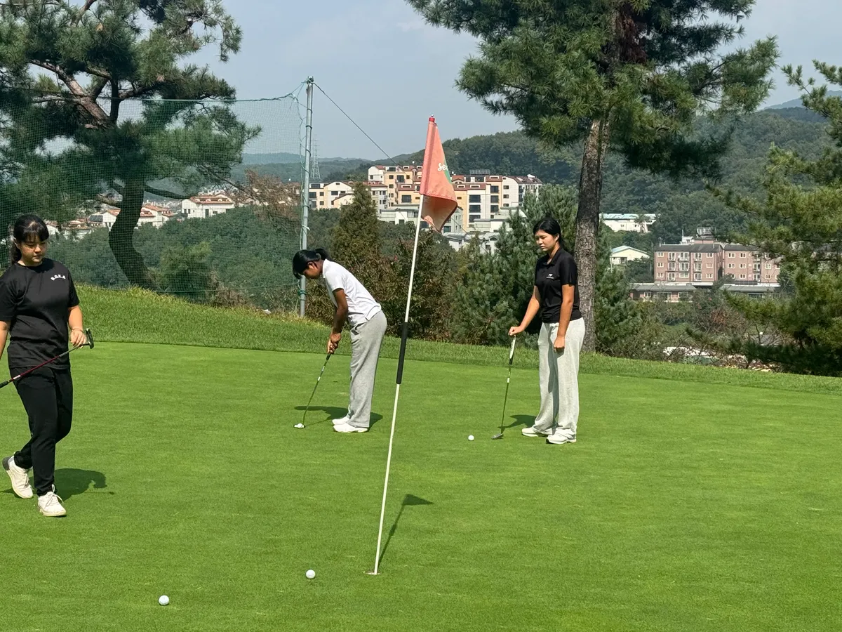 이미지 7