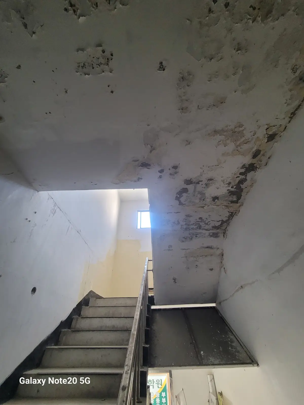 이미지 4