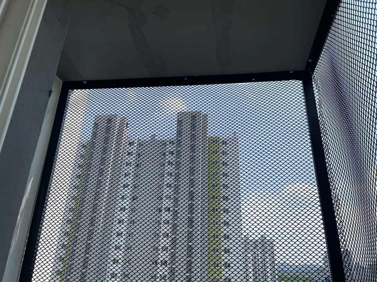 이미지 6