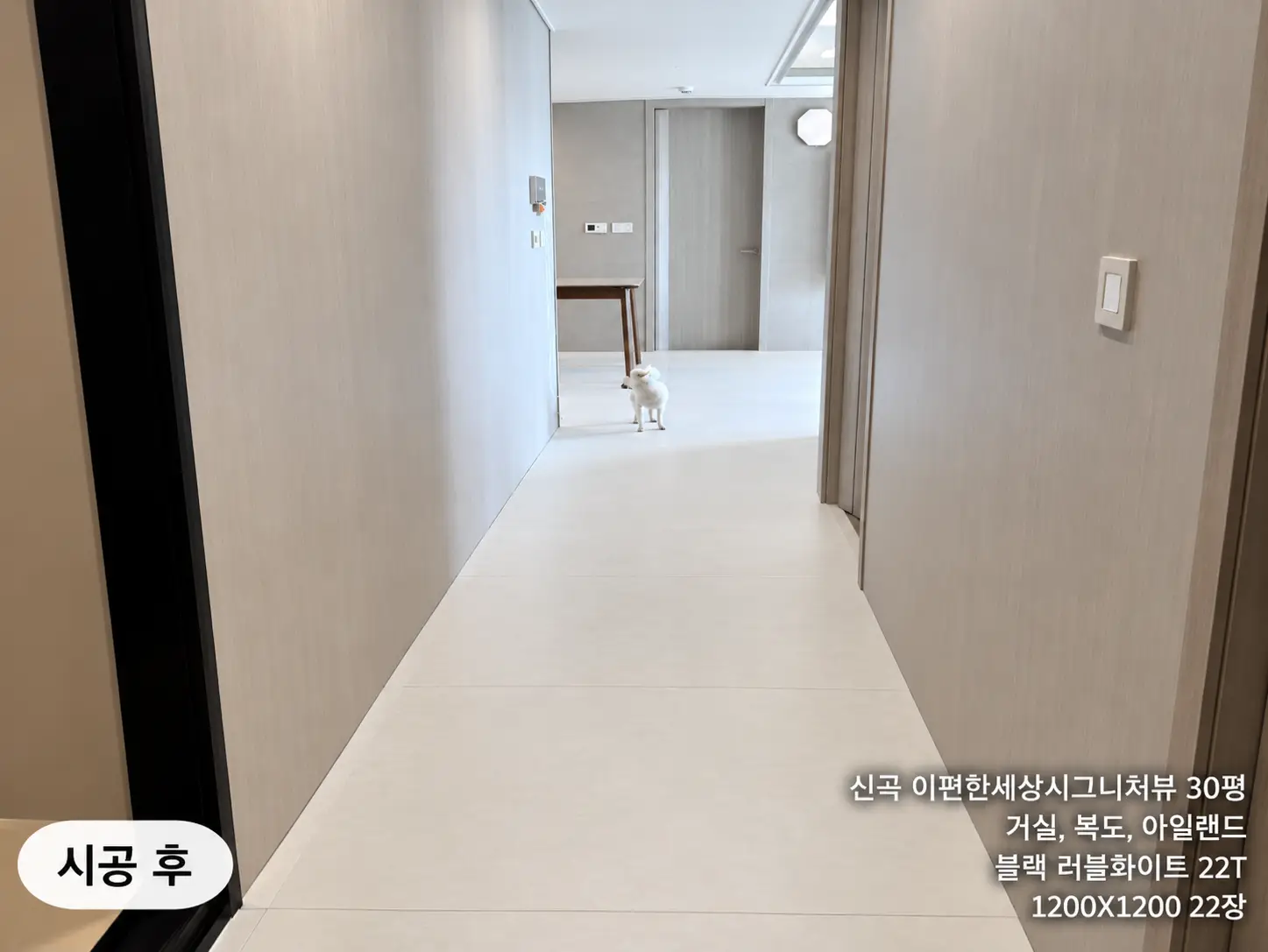 이미지 8