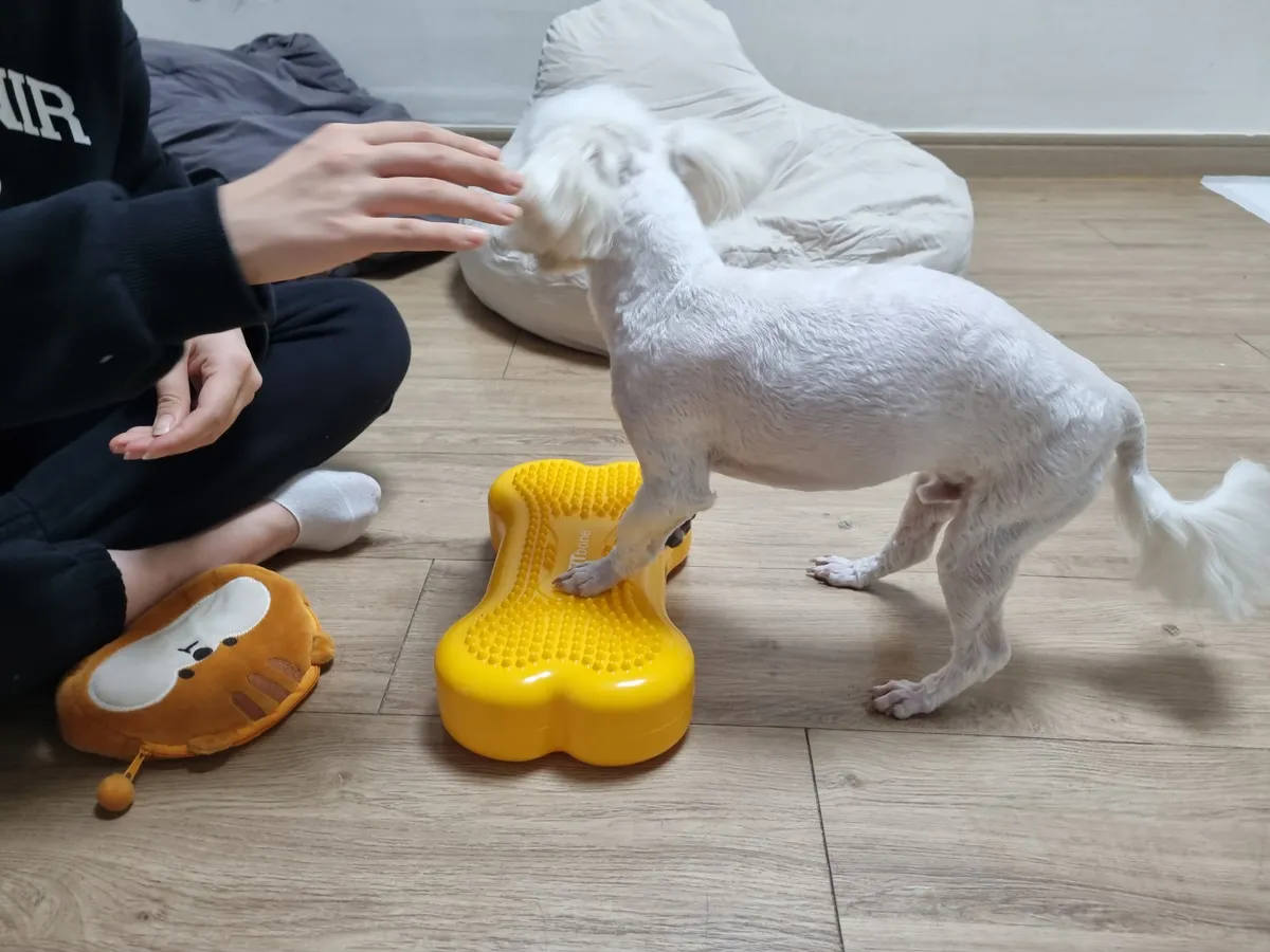 이미지 6