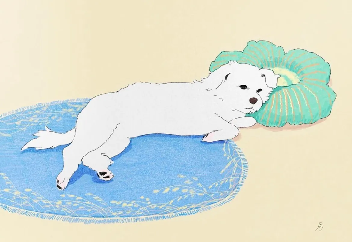 이미지 6
