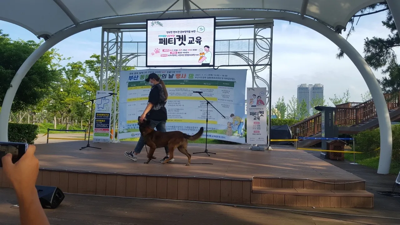 이미지 8