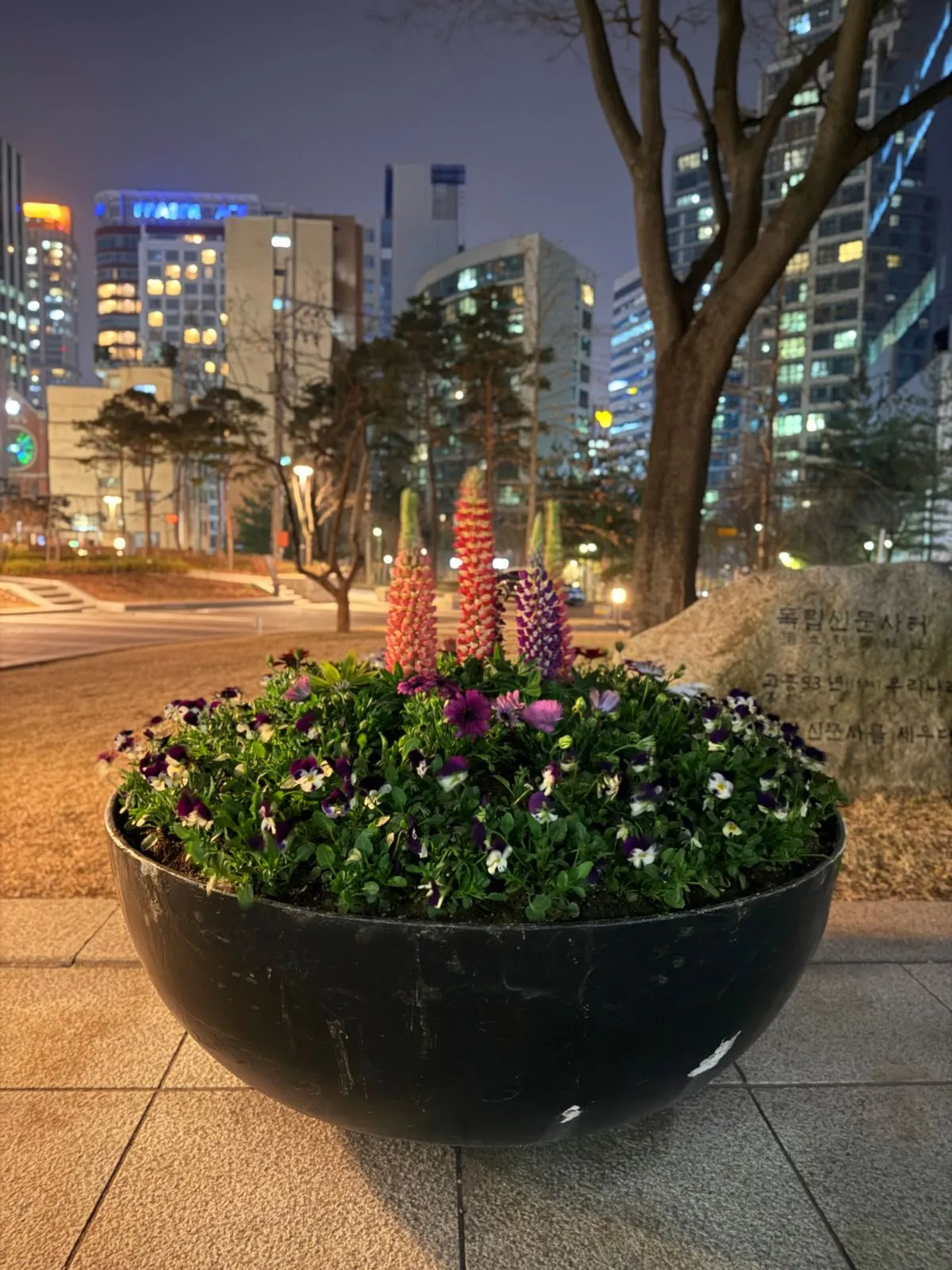 이미지 3