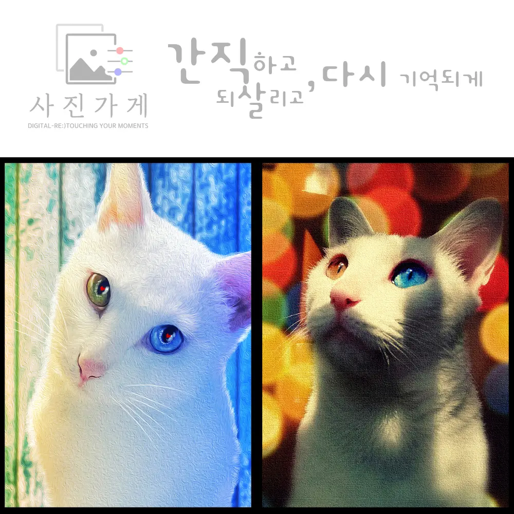 포트폴리오 이미지