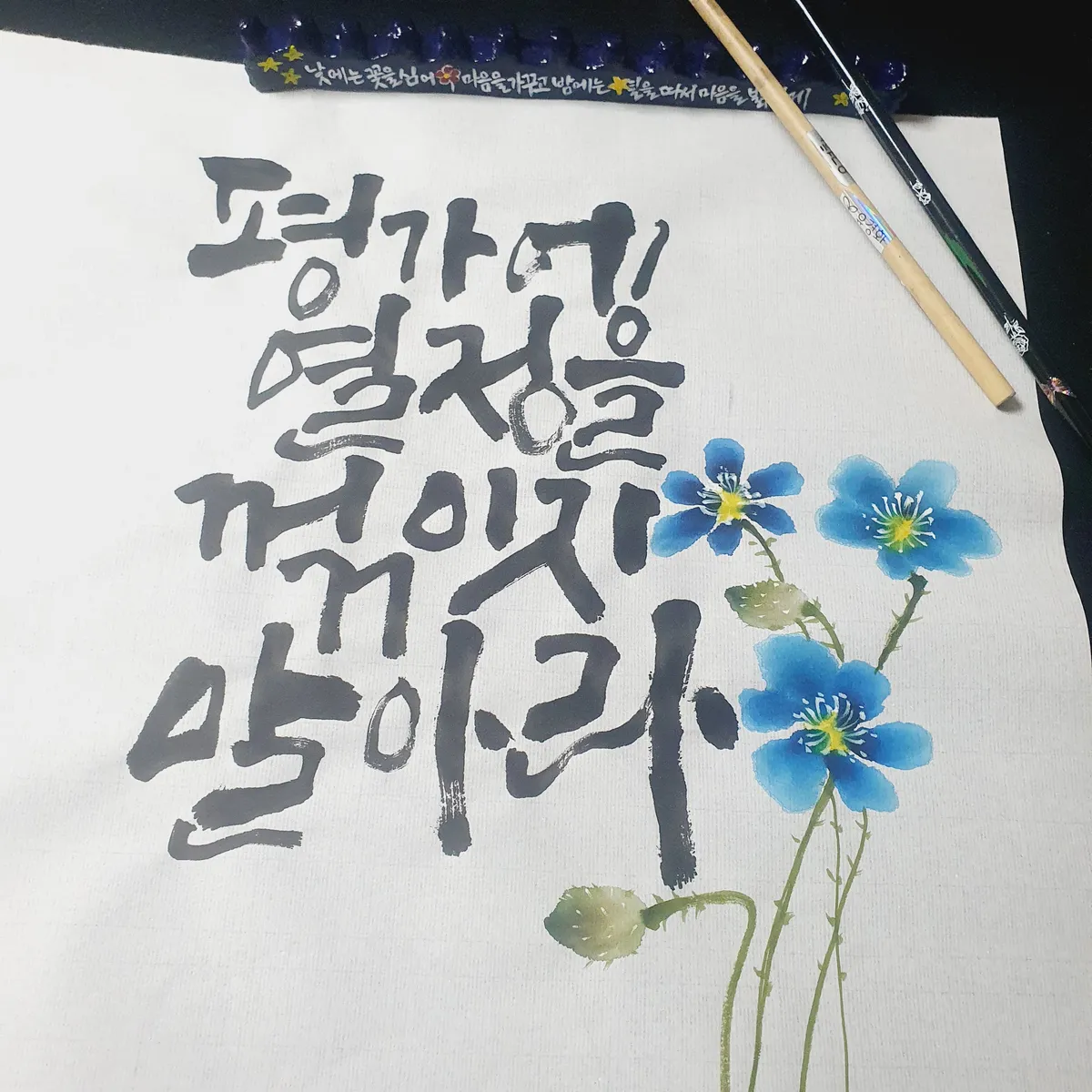 이미지 4