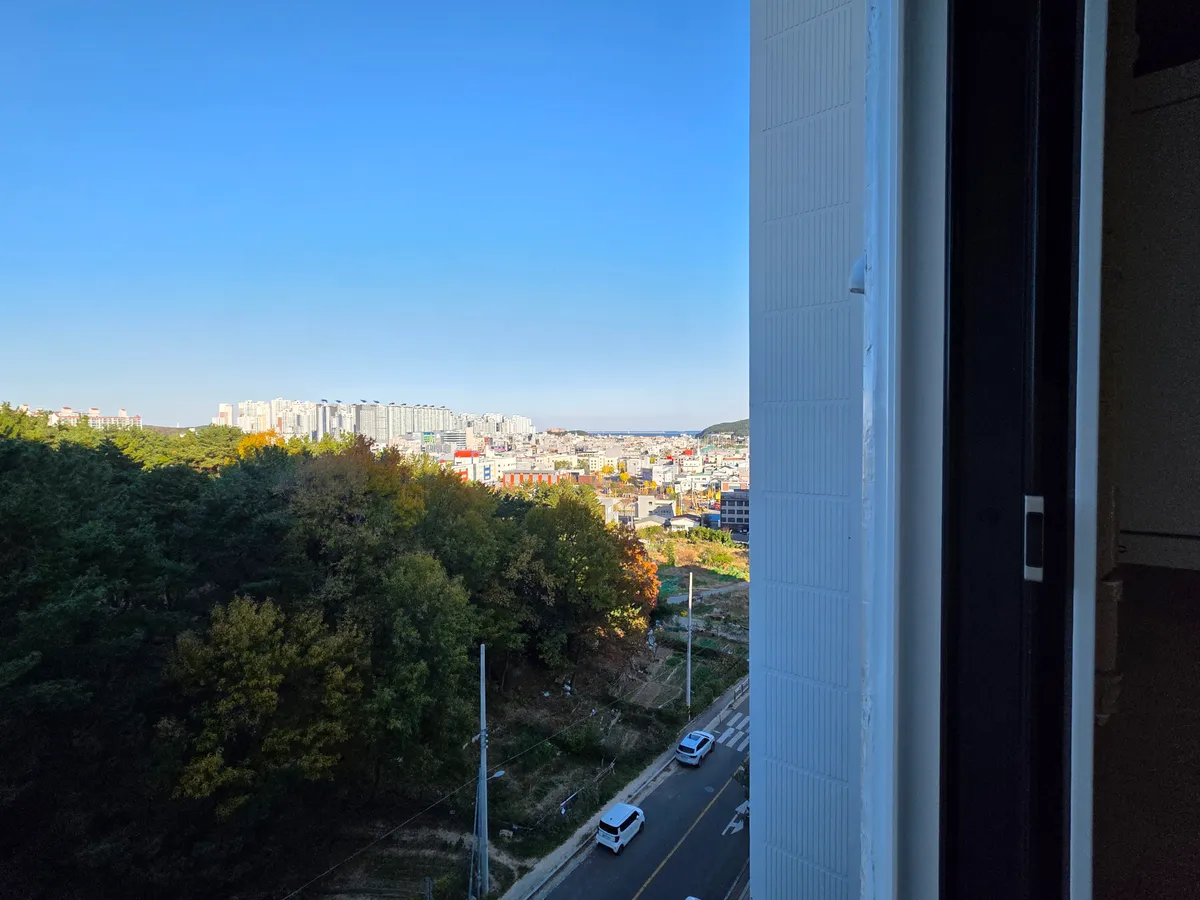 이미지 16