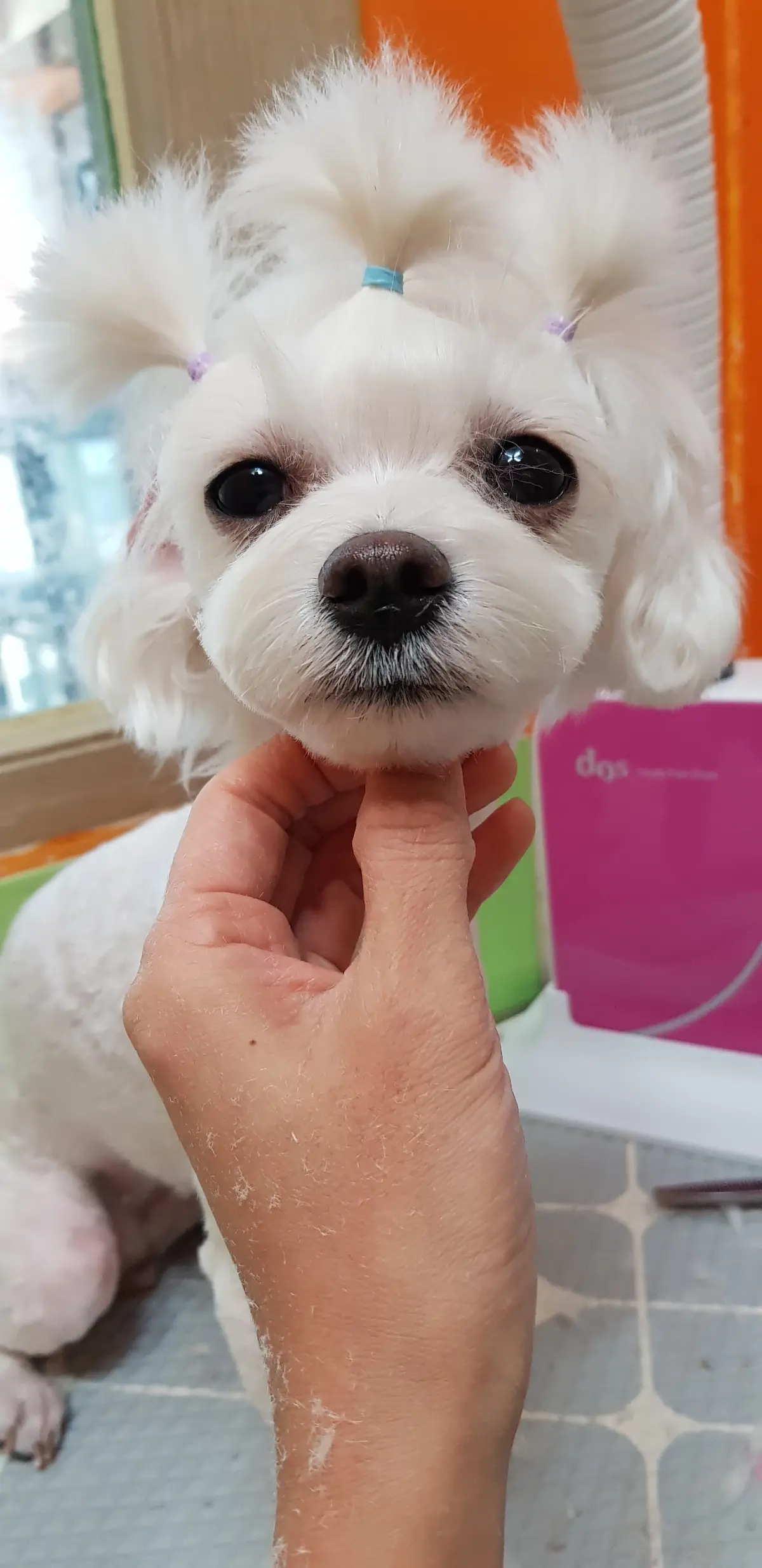 이미지 7
