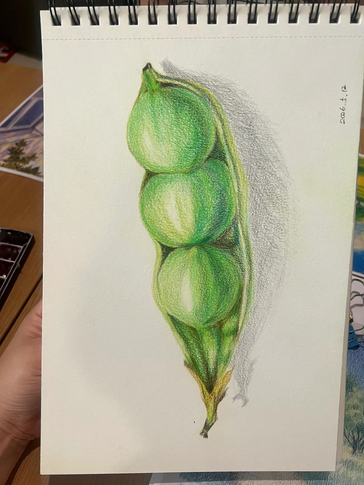 이미지 12