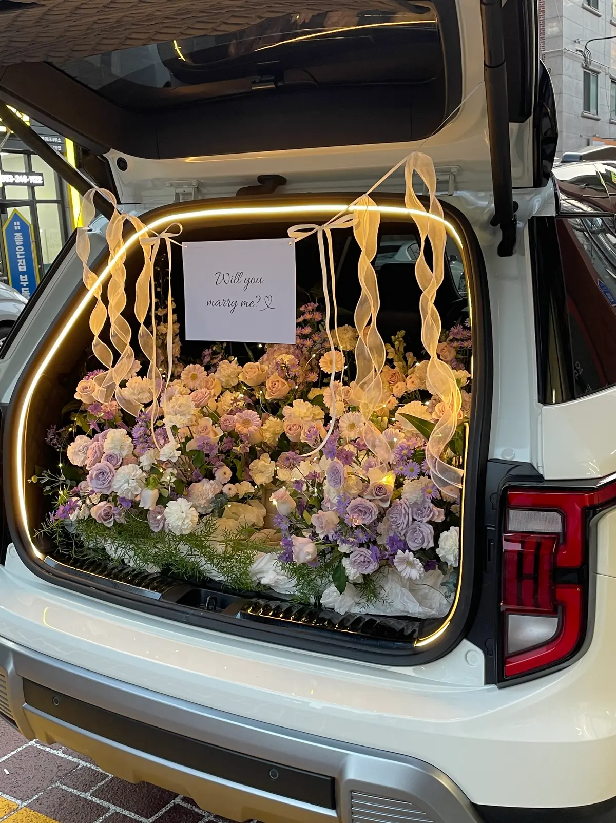 이미지 5