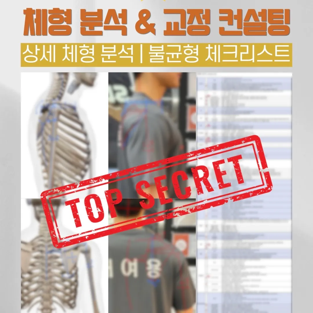 이미지 4