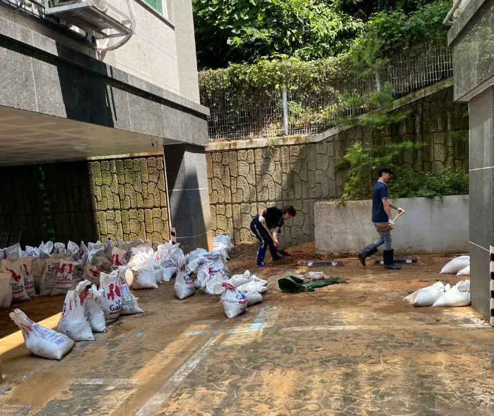 이미지 7