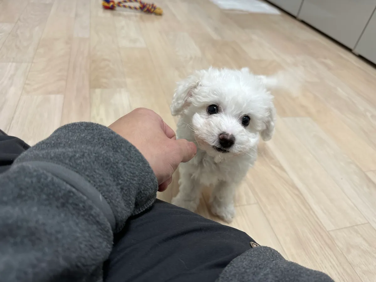 이미지 7
