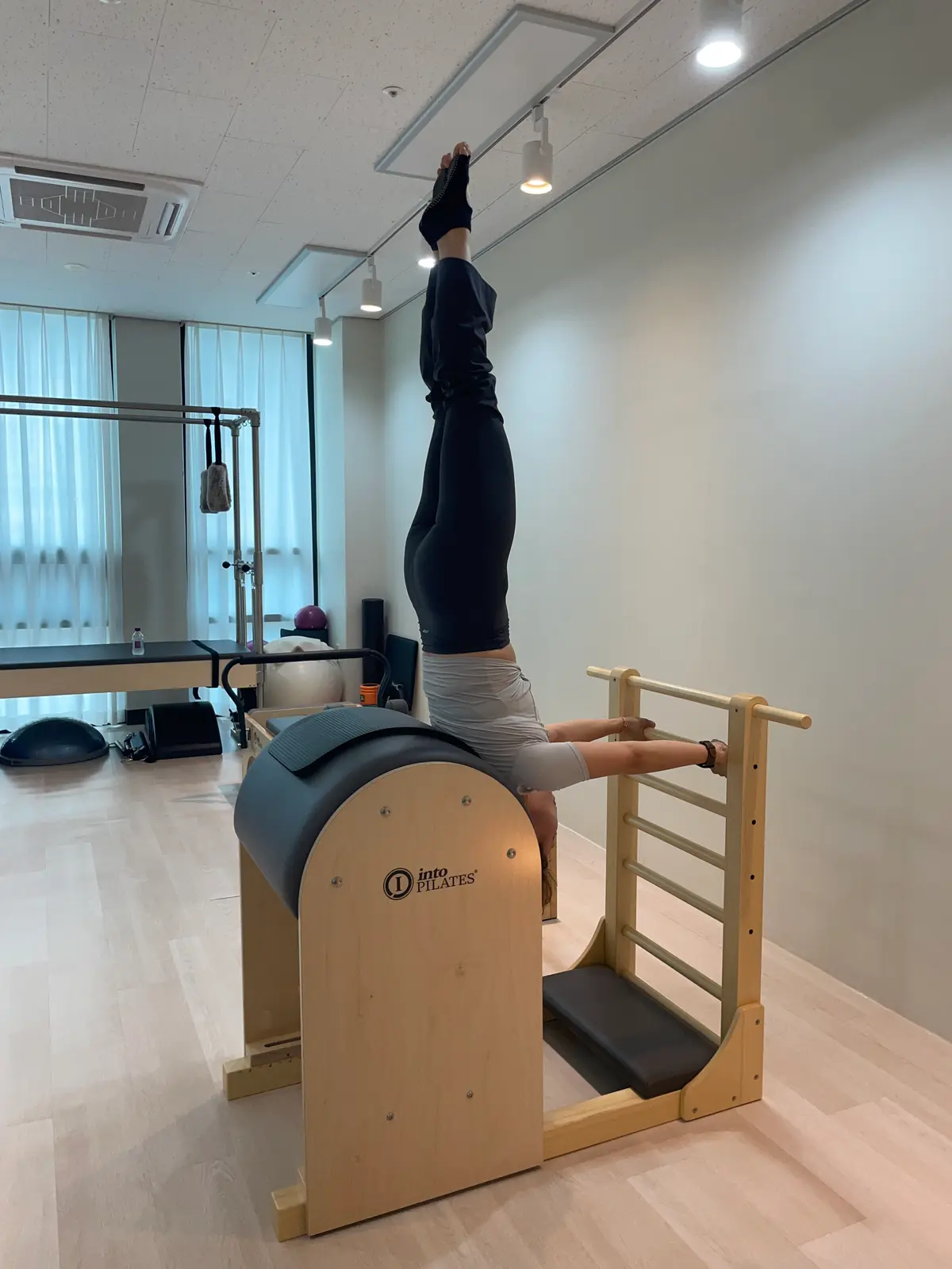 이미지 5