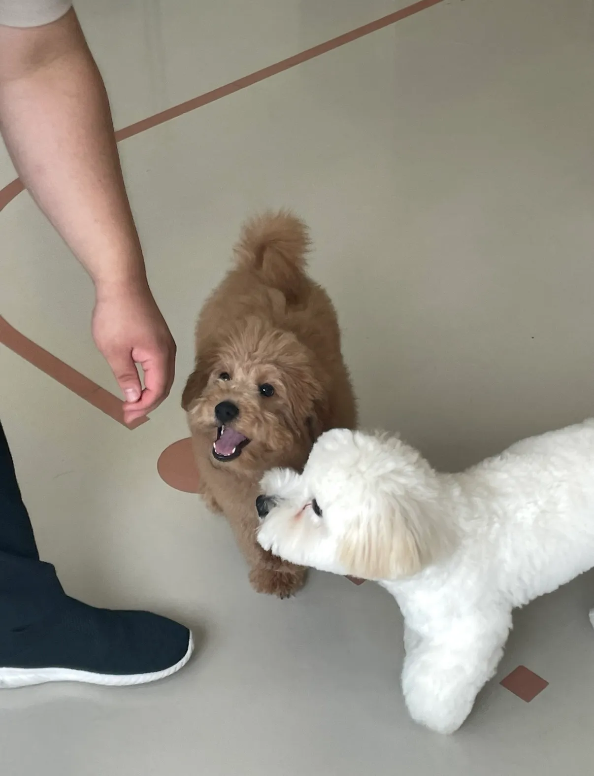 이미지 26