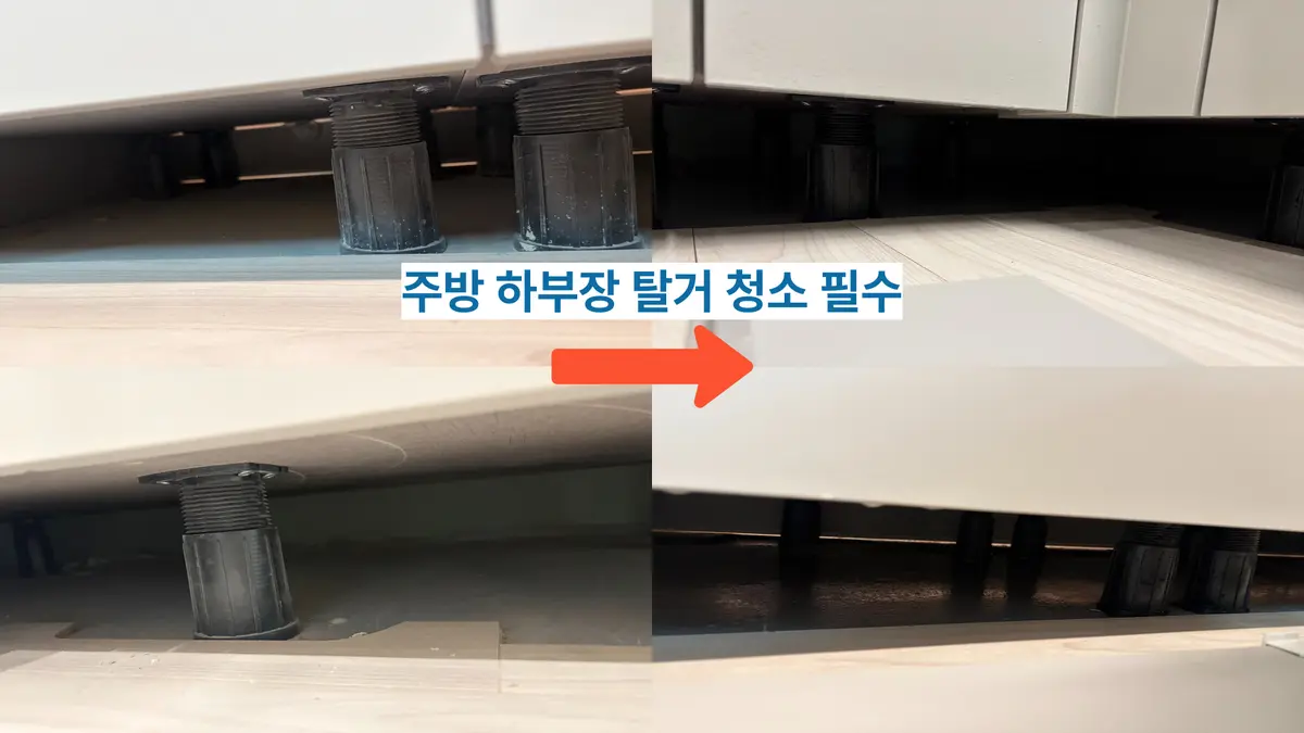 이미지 16