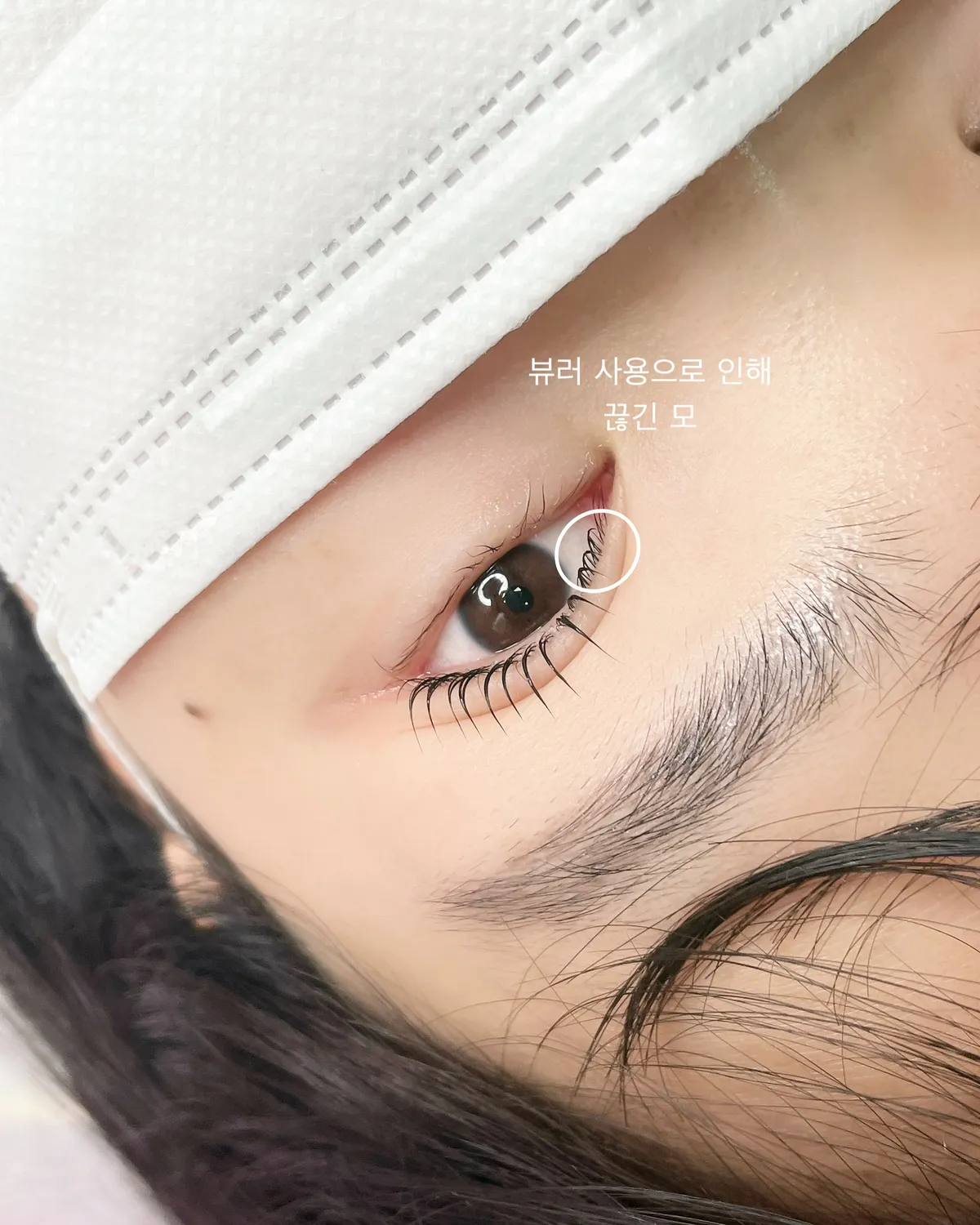 이미지 11