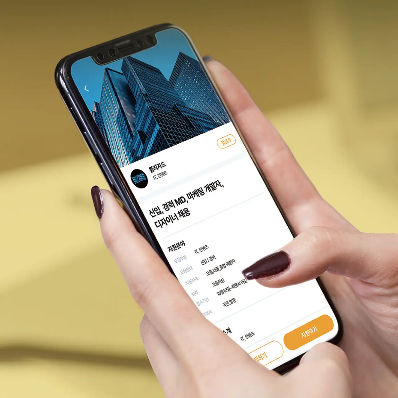 포트폴리오 이미지