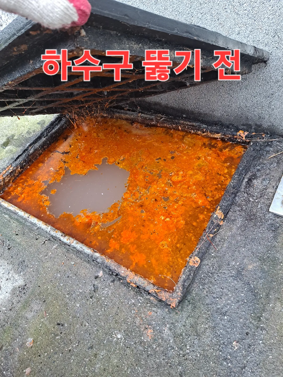 이미지 1