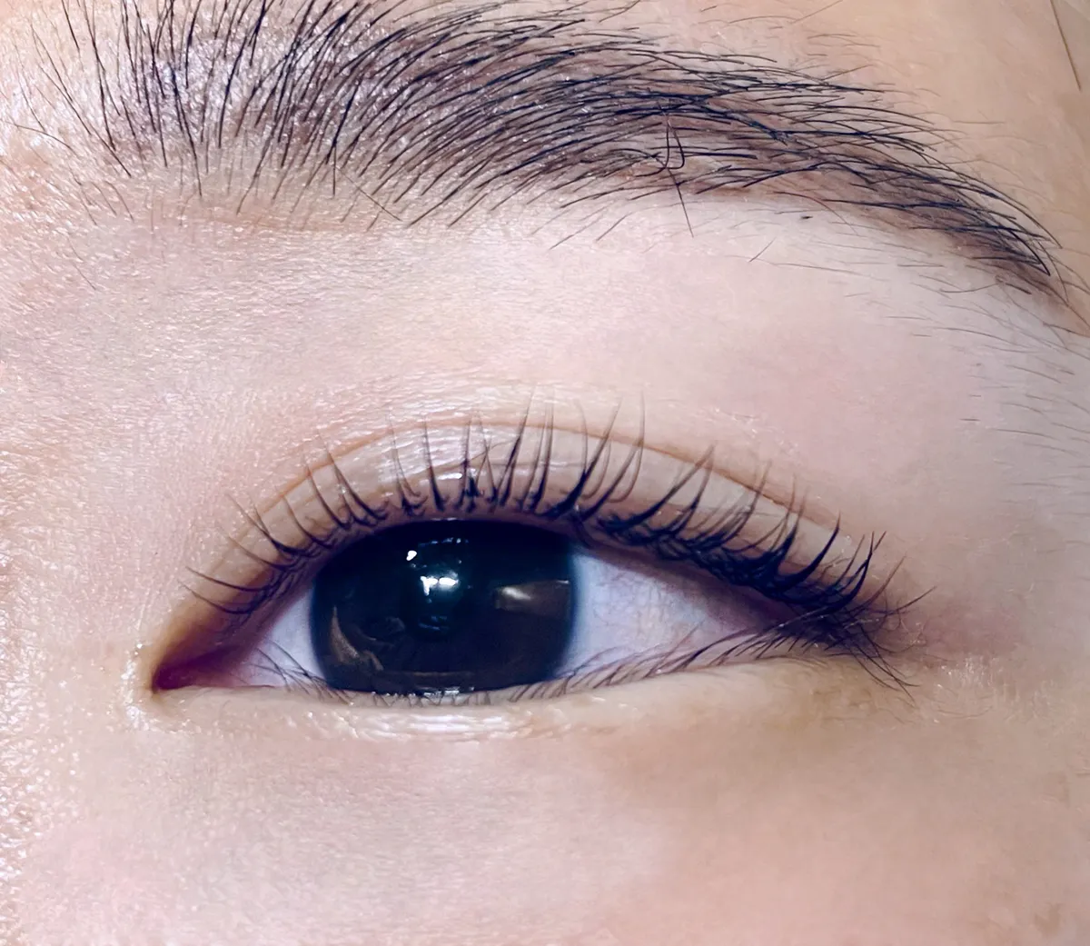 이미지 8