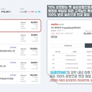 정재인님 댕댕이 세마리 설계안 및 본인 보험 설계