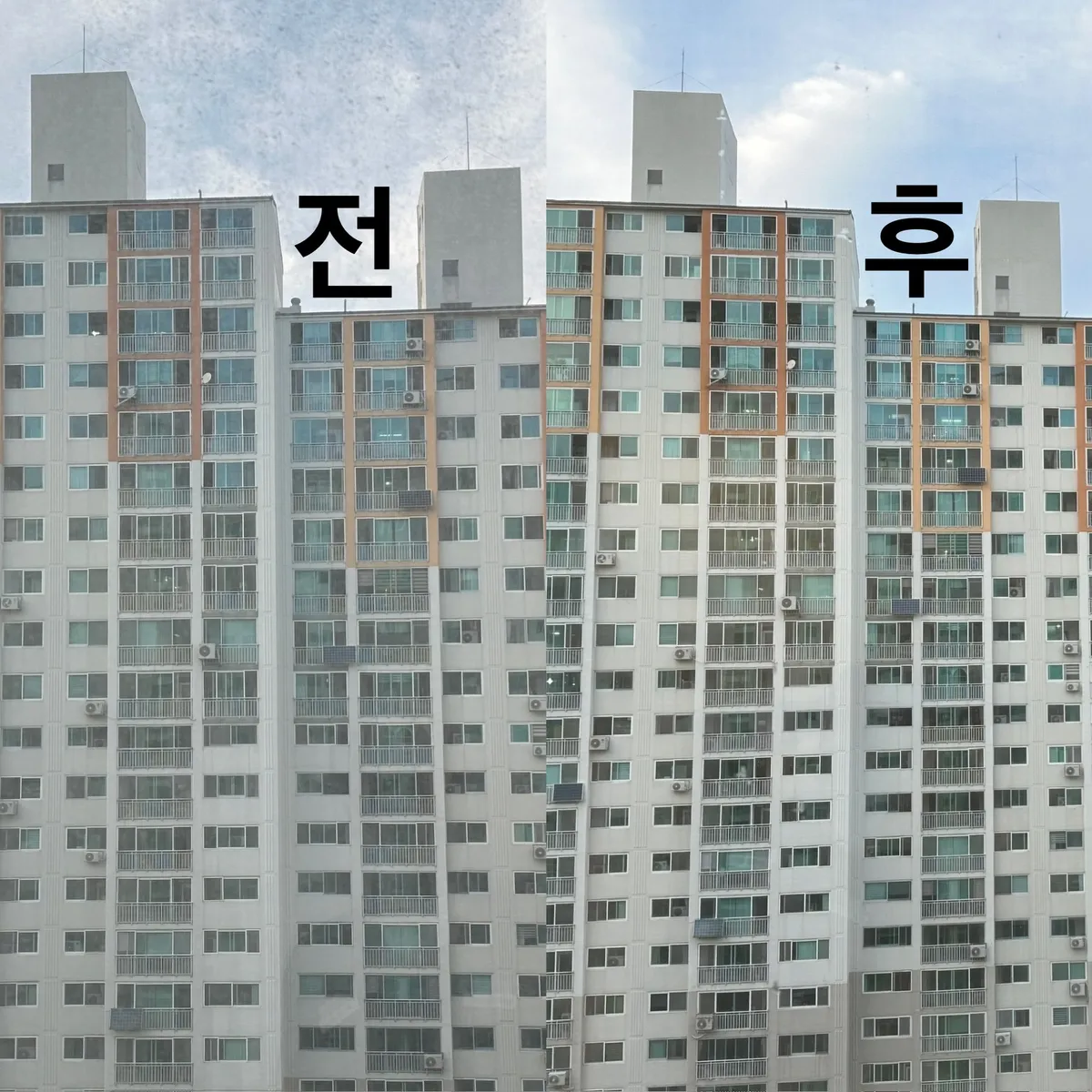 이미지 10