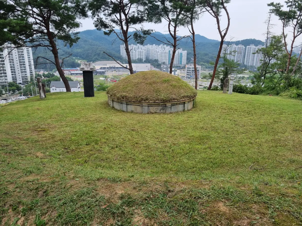 이미지 7