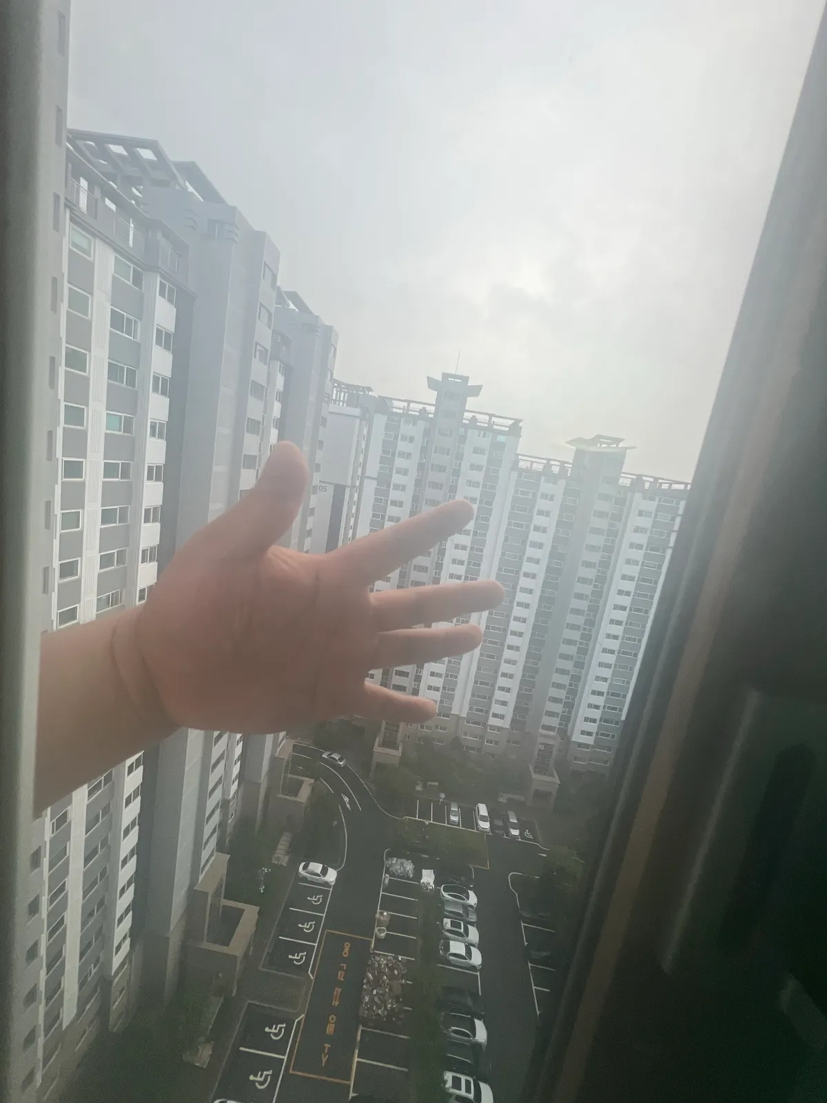 이미지 3